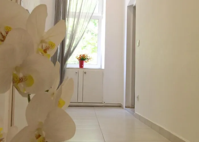 בית אירוח Cozy In Floridsdorf Area Pr4 *